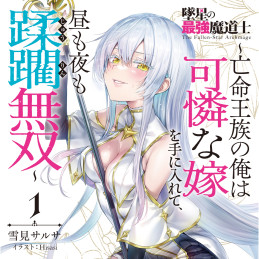 墜星の最強魔道士 ～亡命王族の俺は可憐な嫁を手に入れて、昼も夜も蹂躙無双～ 1