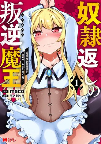 奴隷返しの叛逆魔王　～最弱種族の悪魔が禁断ハーレムを築くまで～