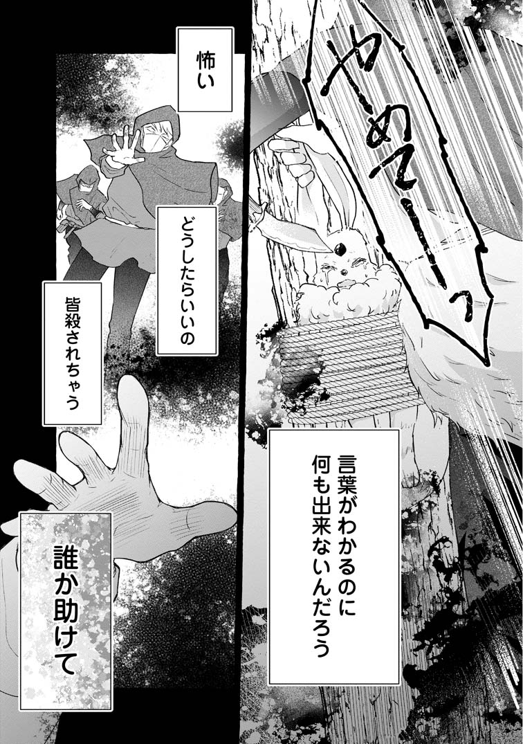 お試しで喚ばれた聖女なのに最強竜に気に入られてしまいました。