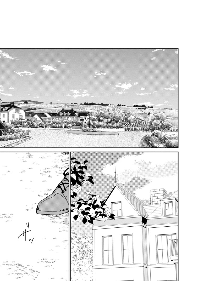 公式-婚約破棄されたのでお掃除メイドになったら笑わない貴公子様に溺愛されました 第22話(1) 