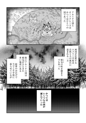 宝石の聖女 「欲深女め！」と追放されたけど、隣国の王子様と幸せに暮らすのであとはもうご勝手に！