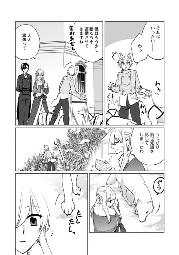 転生先で捨てられたので、もふもふ達とお料理します～お飾り王妃はマイペースに最強です～