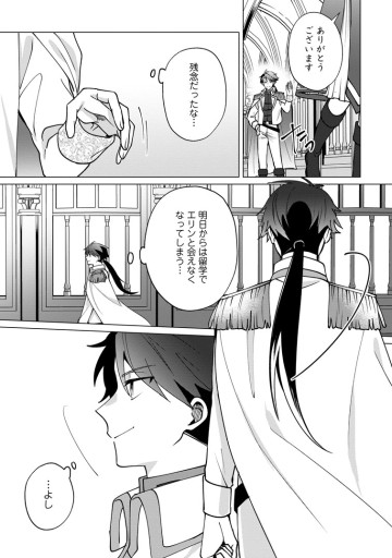 捨てられ聖女のもふもふ保護活動〜天才魔法使いと幻獣たちに愛されて幸せになります〜