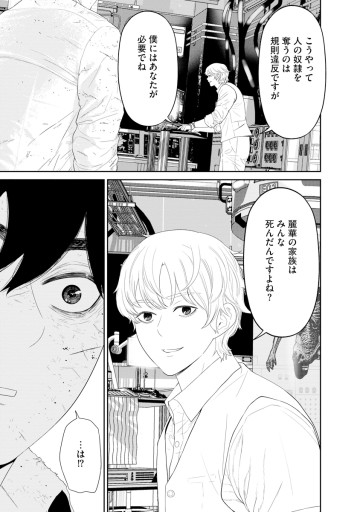 奴隷チップ