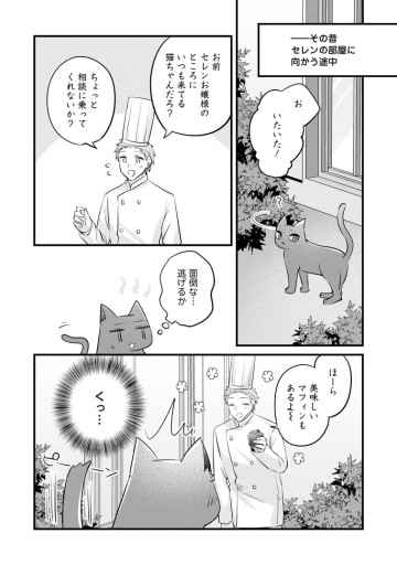 地味姫と黒猫の、円満な婚約破棄