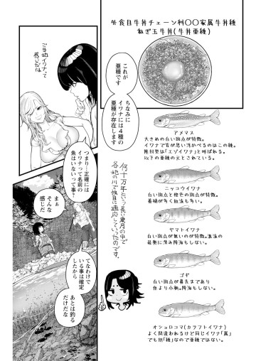 カワセミさんの釣りごはん