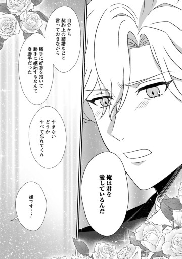 氷の公爵様と私の幸せな契約再婚