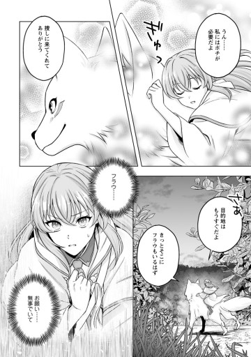 苦節四年、理想の聖女を演じるのに疲れました ～便利屋扱いする国は捨て“白魔導士”となり旅に出る～