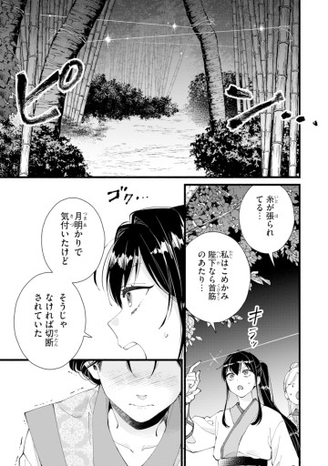 後宮の男装妃 〜謎解き娘は皇帝のお気に入り〜