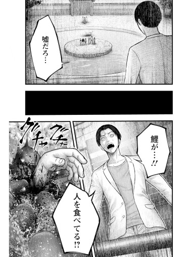 贄屍忌鯉 ニシキゴイ