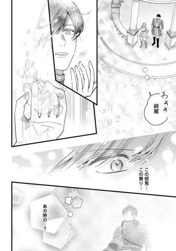 感情が天候に反映される特殊能力持ち令嬢は婚約解消されたので不毛の大地へ嫁ぎたい
