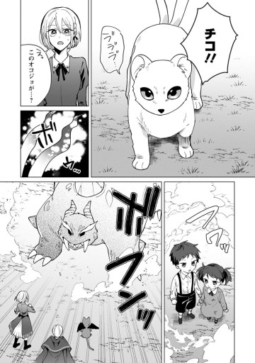 捨てられ聖女のもふもふ保護活動〜天才魔法使いと幻獣たちに愛されて幸せになります〜