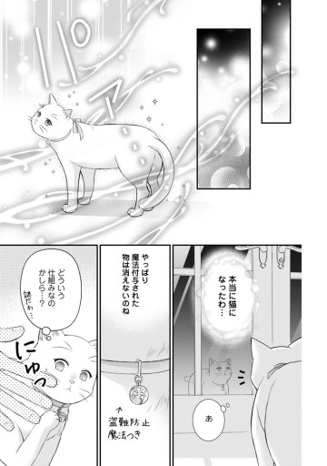 呪いで猫にされた悪女、王太子に拾われる。