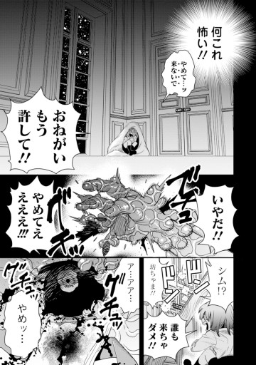 氷核のメテオリア