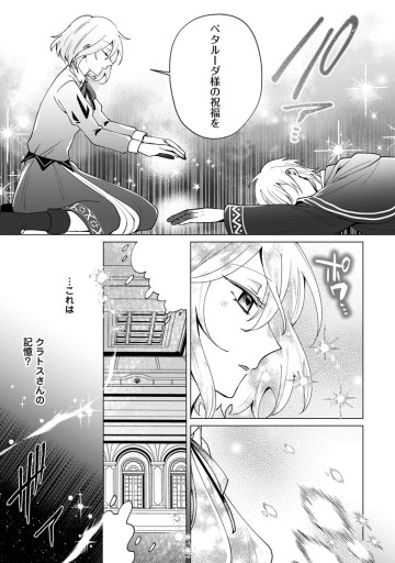 捨てられ聖女のもふもふ保護活動〜天才魔法使いと幻獣たちに愛されて幸せになります〜