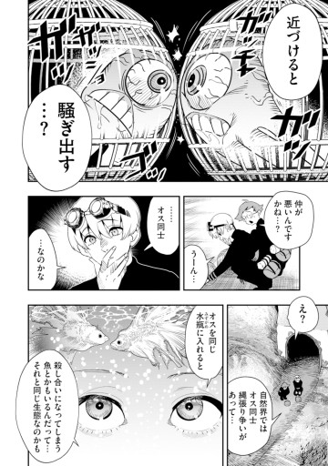 氷核のメテオリア