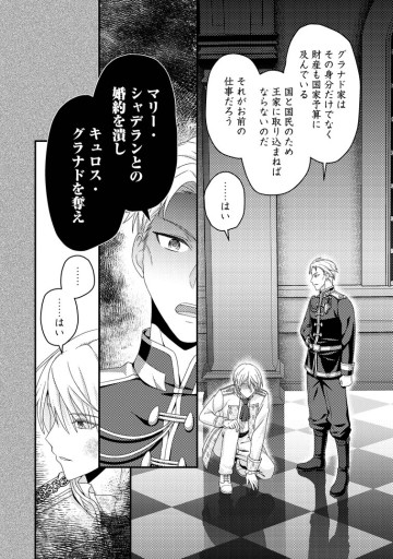 ずたぼろ令嬢は姉の元婚約者に溺愛される