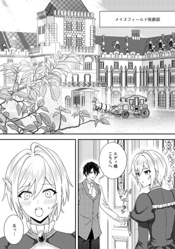 男装王女の悪妻計画～旦那様がぜんぜん離婚に応じてくれません～