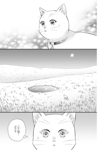 呪いで猫にされた悪女、王太子に拾われる。