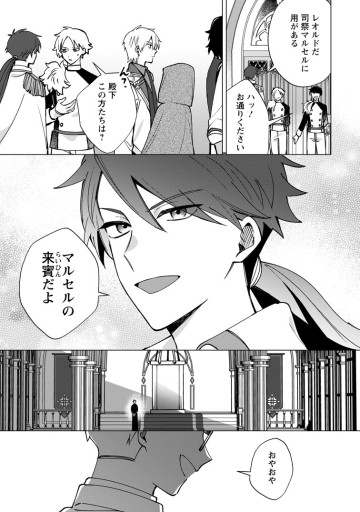 捨てられ聖女のもふもふ保護活動〜天才魔法使いと幻獣たちに愛されて幸せになります〜