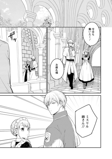 婚約破棄されたのでお掃除メイドになったら笑わない貴公子様に溺愛されました