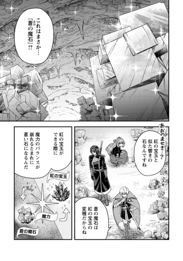 宝石の聖女 「欲深女め！」と追放されたけど、隣国の王子様と幸せに暮らすのであとはもうご勝手に！