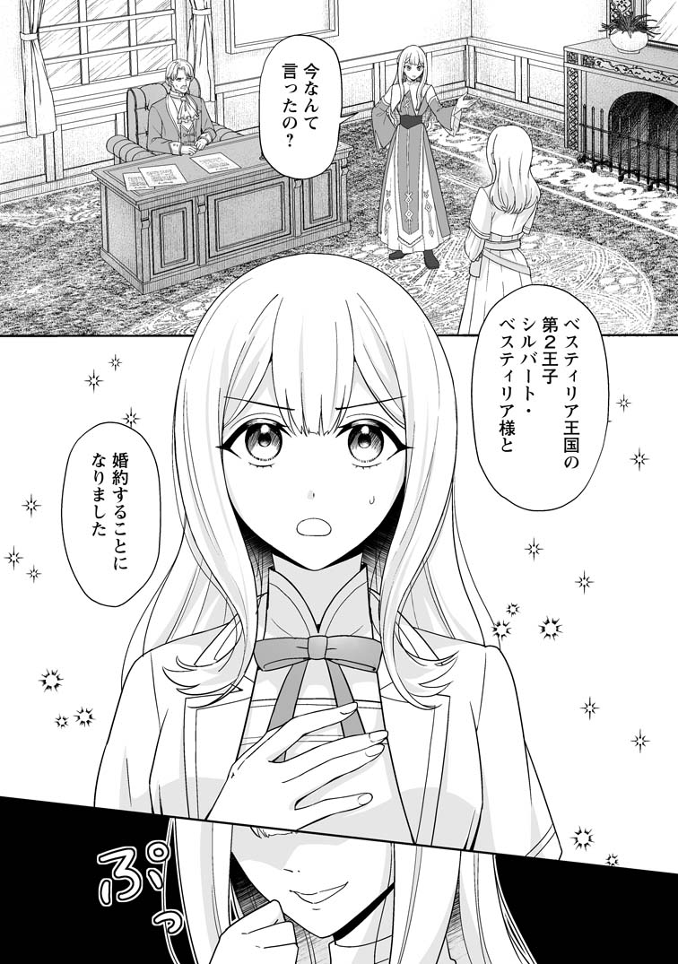 公式-身代わりで縁談に参加した愚妹の私、隣国の王子様に見初め