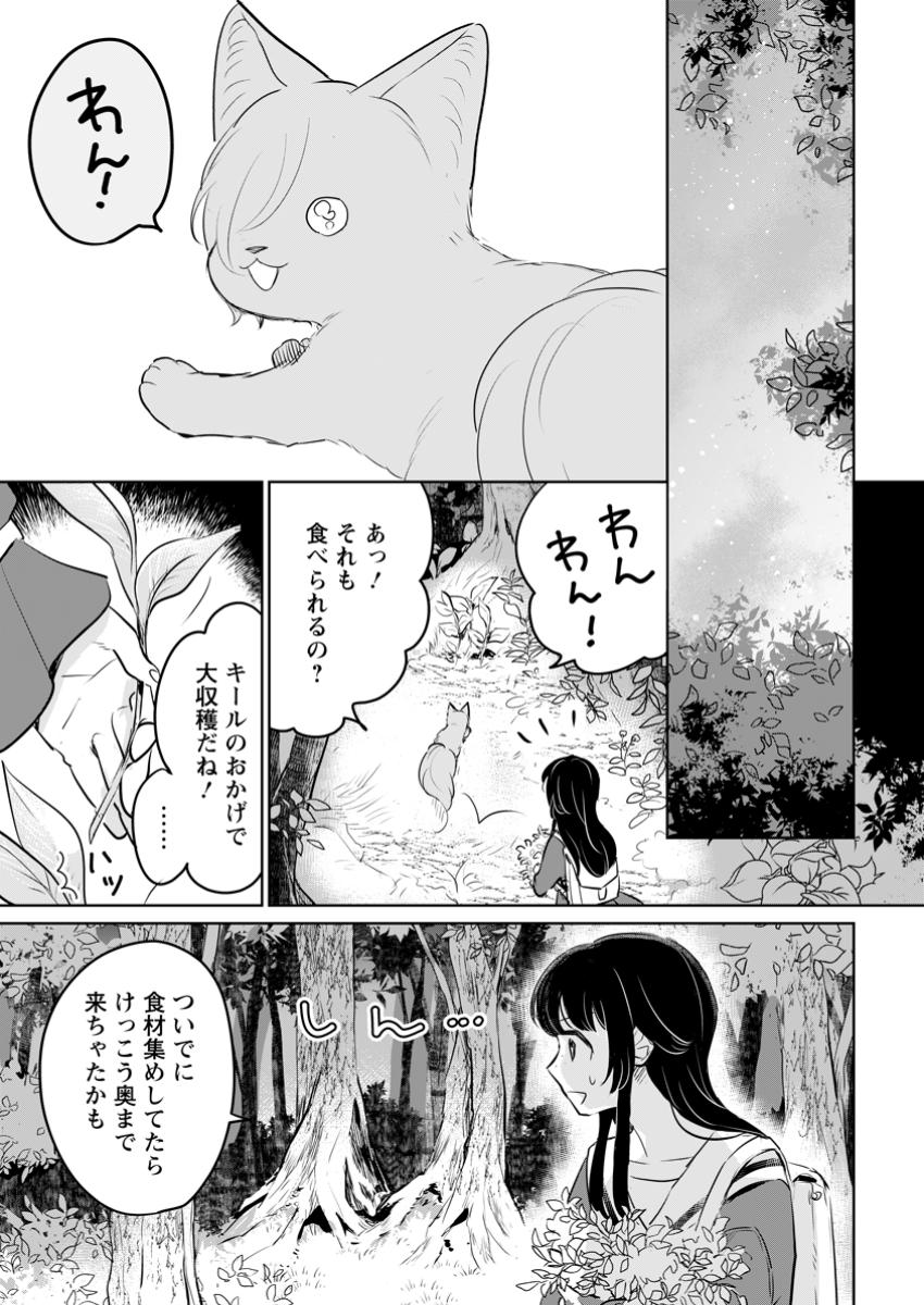 聖女じゃないと追放されたので、もふもふ従者(聖獣)とおにぎりを握る